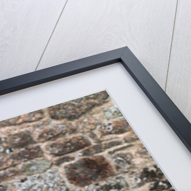 Old brick wall by Assaf Frank